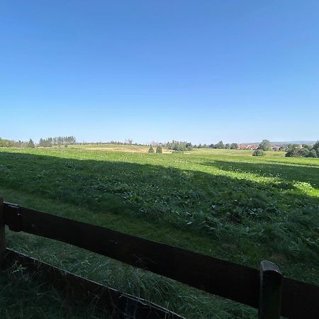Bergwiesenblick38678 Clausthal-Zellerfeld Exteriör bild