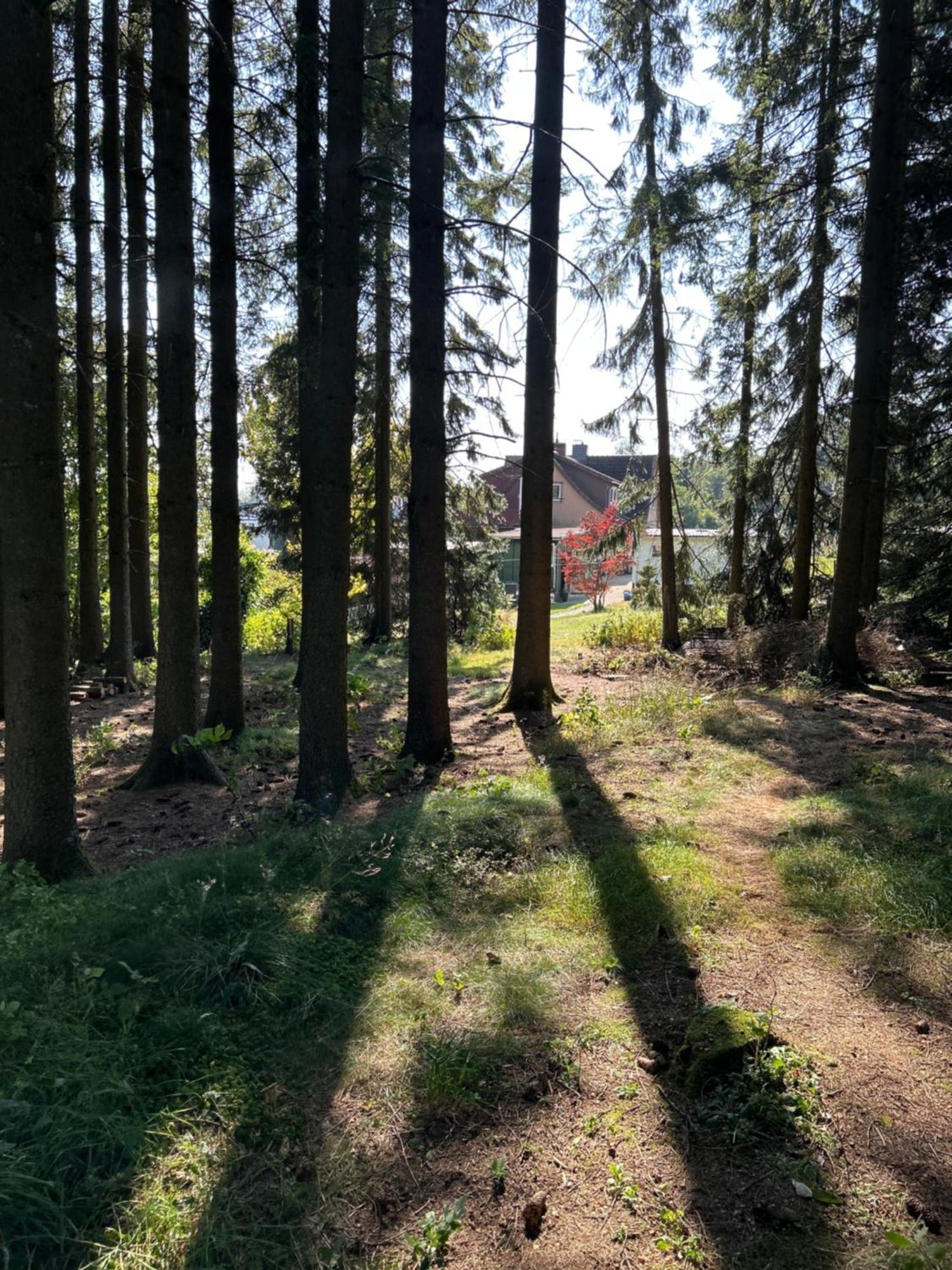 Bergwiesenblick38678 Clausthal-Zellerfeld Exteriör bild