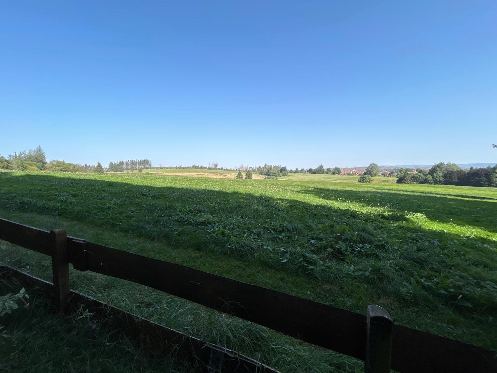 Bergwiesenblick38678 Clausthal-Zellerfeld Exteriör bild