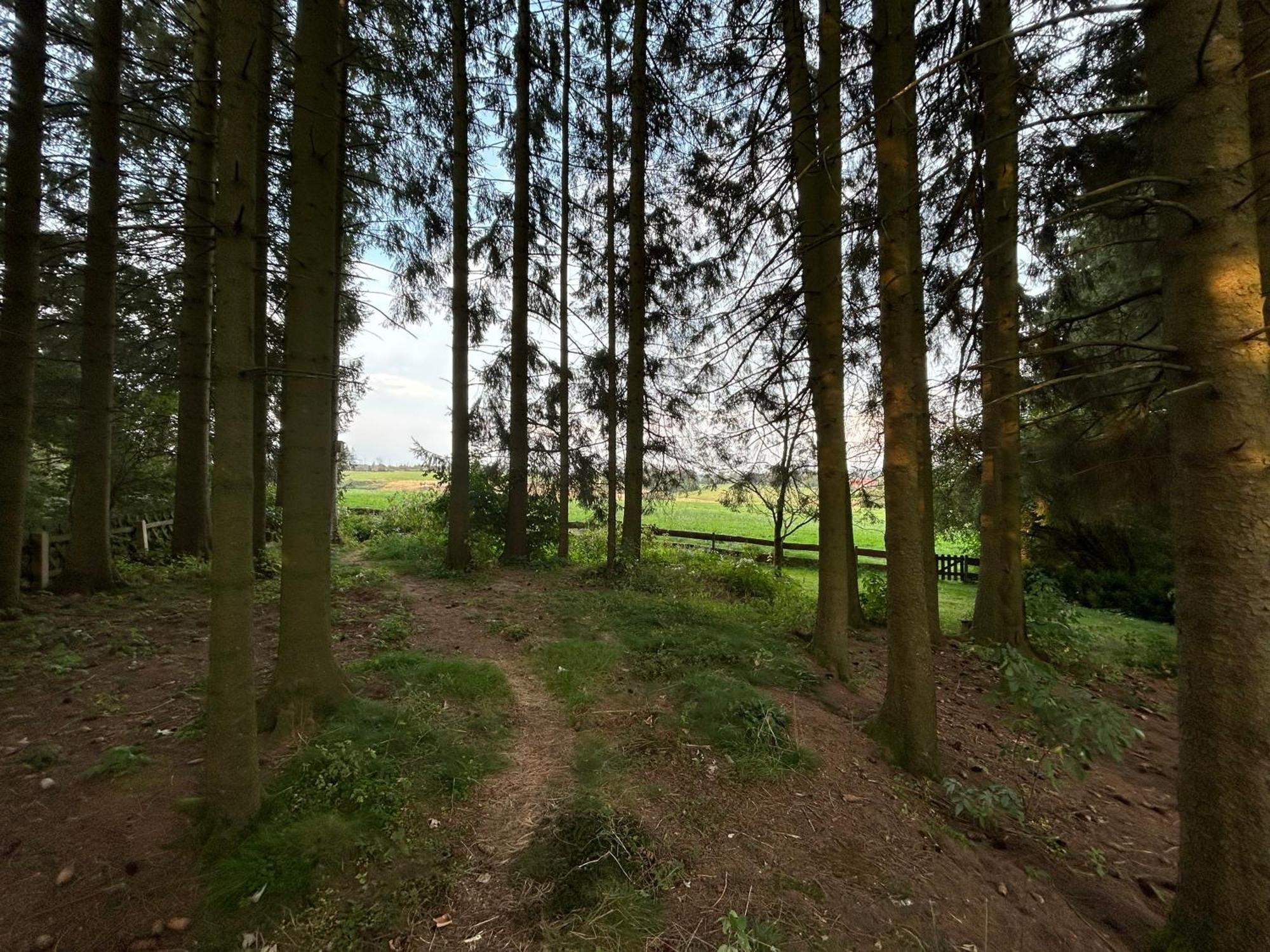 Bergwiesenblick38678 Clausthal-Zellerfeld Exteriör bild